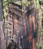 幹燥（zào）設備（bèi）如何在（zài）對流介質木材（cái）中幹（gàn）燥