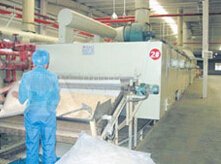 傳送帶穀物幹(gàn)燥設備 傳送帶穀物(wù)幹燥設備