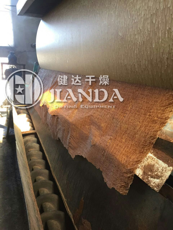 雙滾筒（tǒng）刮板幹燥機