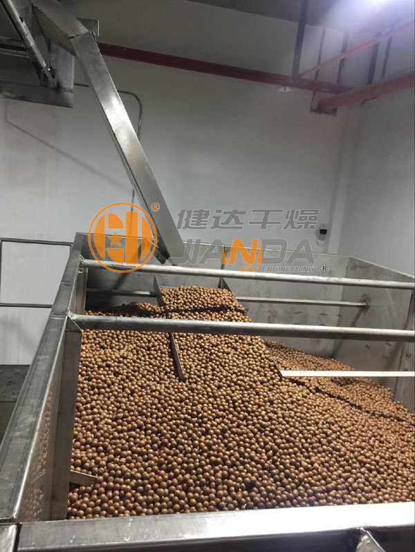 堅果幹（gàn）燥生產線上料
